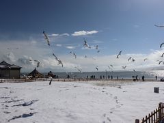 -青海湖国家重点风景名胜区