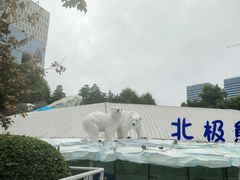 -海合安成都极地海洋公园