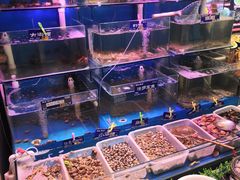 水产区-粥全粥到海鲜家常菜·海肠捞饭(嫩江路店)