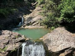 -广州白江湖森林公园