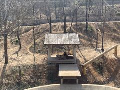 -石家庄市动物园