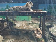 -昆明动物园