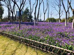 -白塘生态植物园