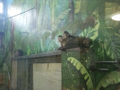 -西安秦岭野生动物园