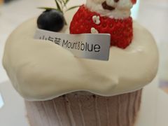 莓朋友-山与蓝·轻糖鲜果蛋糕(勒泰店)