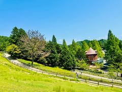 -神户市立六甲山牧场