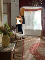 点击看大图 -THE QUEEN(北京店)