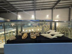 -上海海洋大学鱼文化博物馆(军工路校区)