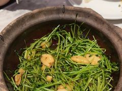 -天辣(金桥啦啦宝都店)