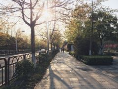 老店门口-COTTON CAFE(德信·中外公寓店)