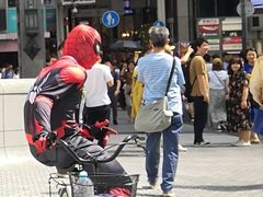 -川久保玲(大阪店)