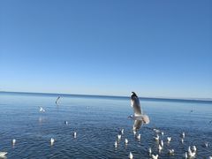 -青海湖二郎剑景区