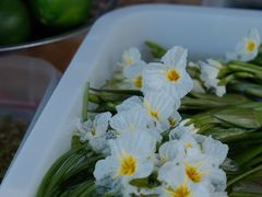 -海韵人家.海景花园经典云南菜(双廊店)