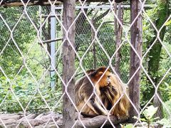 -哈尔滨北方森林动物园