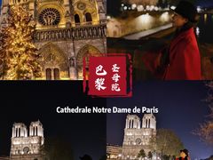 -巴黎圣母院