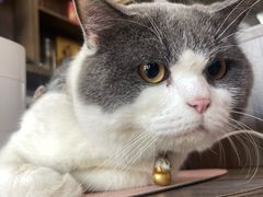 -山坑河鲜(昆仲楼店)