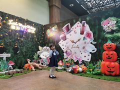 -杭州开元森泊度假乐园