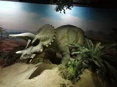 -国家自然博物馆