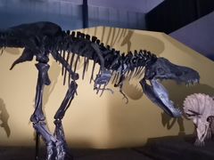 -湖南省地质博物馆