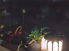 -villaa·别墅·融合菜西餐厅