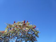 -府君山公园