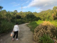 -惠东观音山