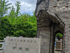 -上海佘山国家森林公园天马山园