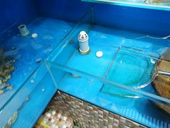 -港畔赶海蒸汽海鲜烧烤自助(仙螺岛店)