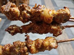 -民族烤羊·烤羊肉串·烤羊排(南城店)