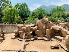 -西安秦岭野生动物园