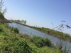 -杭州湾海上花田景区