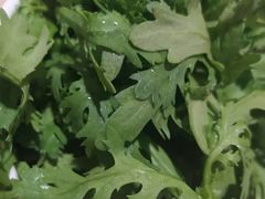 -福娣·金沙银贝海鲜火锅