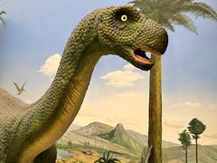 -国家自然博物馆