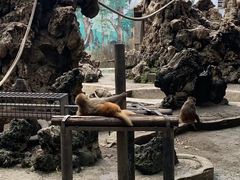 -成都动物园
