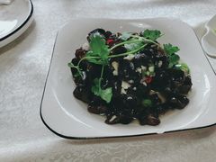 -陈生记黑鱼馆·20年活鱼现杀(宁波鼓楼店)
