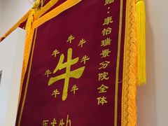 -瑞派康怡24h宠物医院·犬猫医疗中心·微创绝育(瑞景分院)