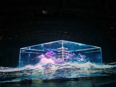 -海合安武汉极地海洋公园