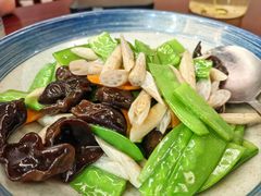 -曾福兴