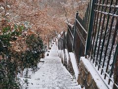 -紫金山山顶公园