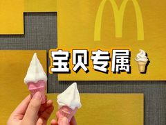 -麦当劳(塔园路店)