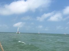 -日照世帆赛基地