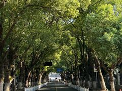 -杭州半山国家森林公园