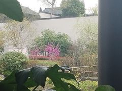 -春色如许·茶食餐厅(桃李春风店)