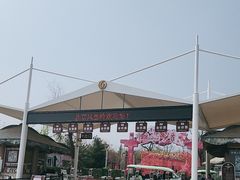 -北京凤凰岭