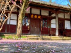 -金堂县云顶石城风景区