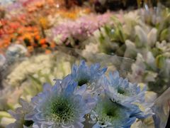 -循礼门鲜花花市(武汉循礼门店)