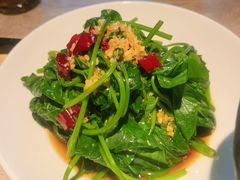 -佬肥猫(七宝宝龙店)