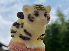 -杭州野生动物世界