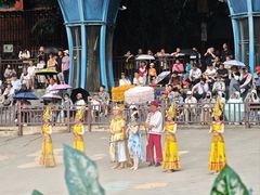 -西双版纳原始森林公园