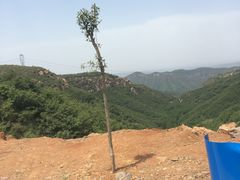 -伏羲大峡谷